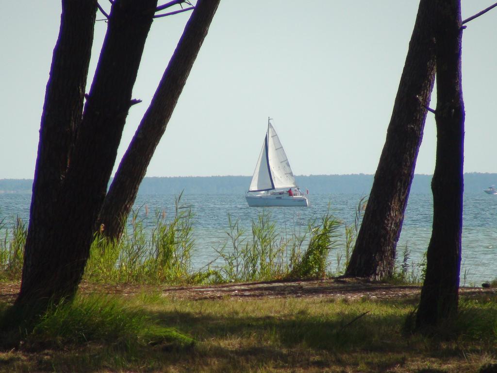 Studio Mansarde Climatise Les Roseaux Bord De Lac Biscarrosse Buitenkant foto