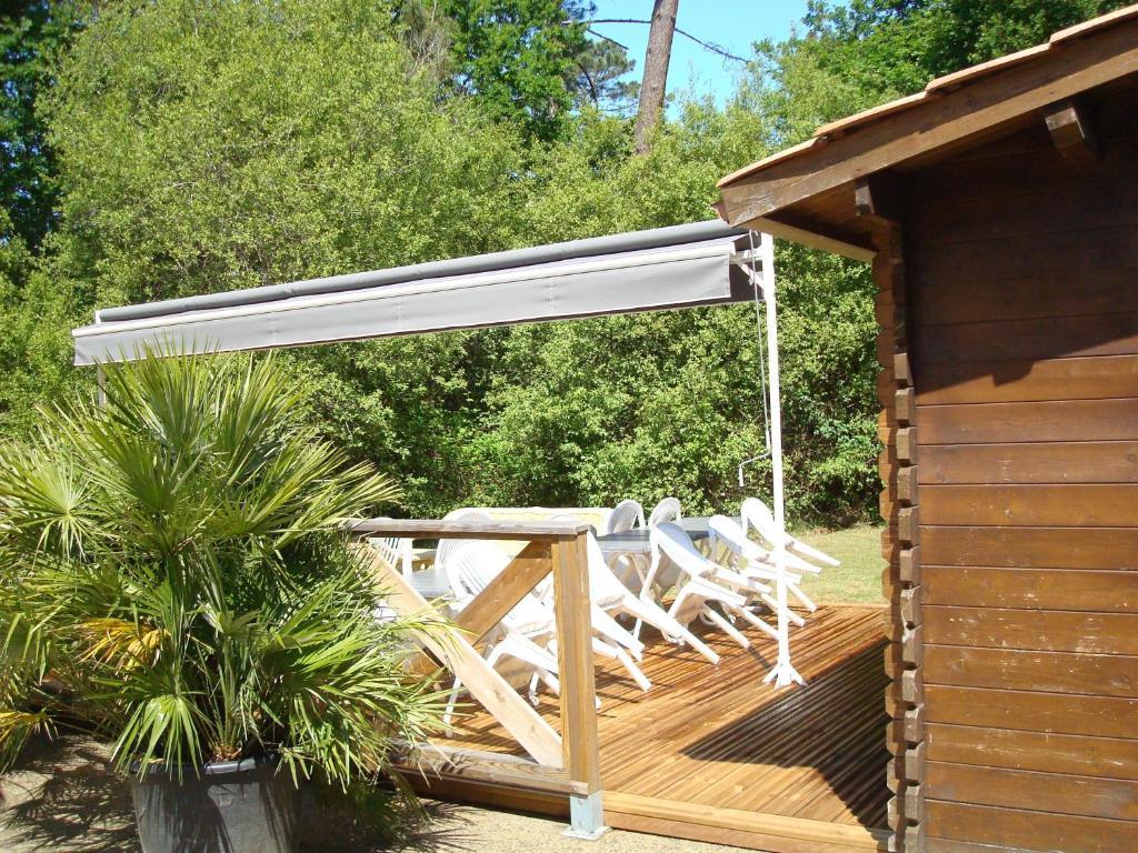Studio Mansarde Climatise Les Roseaux Bord De Lac Biscarrosse Buitenkant foto