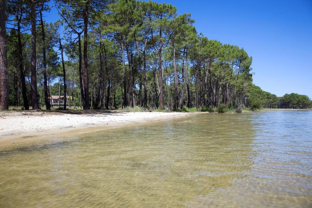 Studio Mansarde Climatise Les Roseaux Bord De Lac Biscarrosse Buitenkant foto