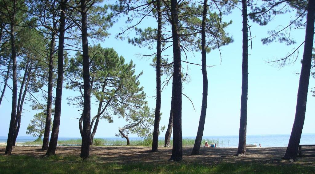 Studio Mansarde Climatise Les Roseaux Bord De Lac Biscarrosse Buitenkant foto
